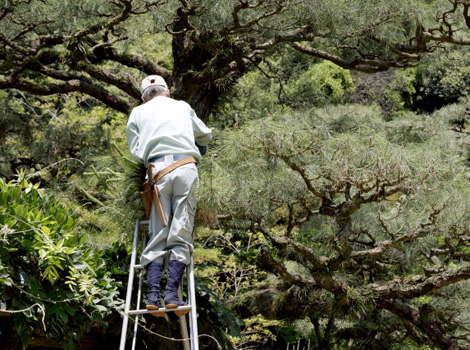 外構・エクステリア工事
